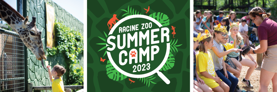 kc zoo summer camp